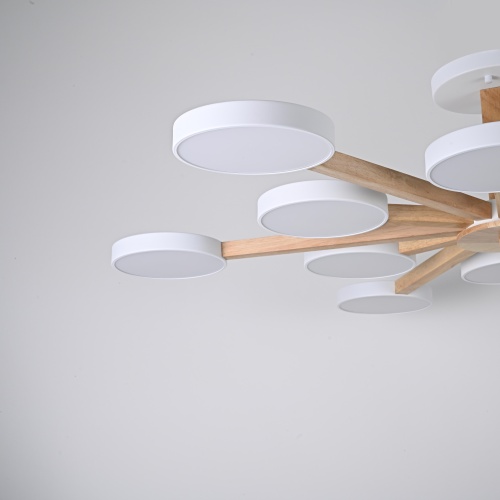 Потолочный Светильник Turna L12 White от Imperiumloft 228851-26