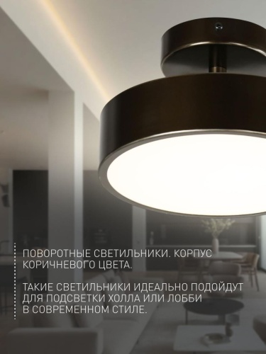 Потолочный светильник 3060-2P