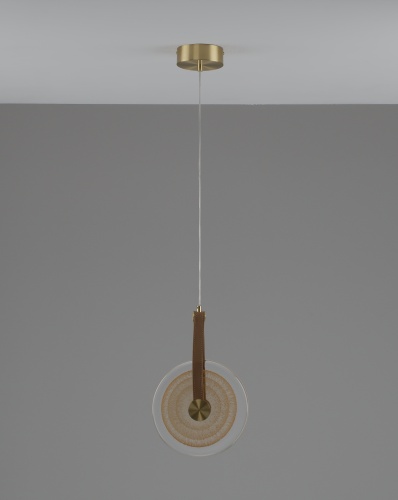 Светильник подвесной светодиодный Moderli V11680-PL Orbique