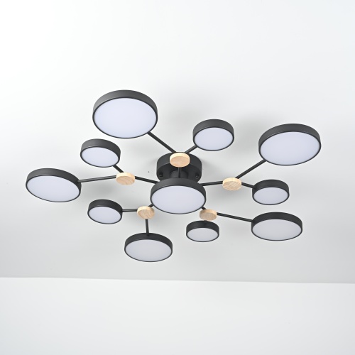 Потолочная Люстра Gamma D102 Black от Imperiumloft 223770-23