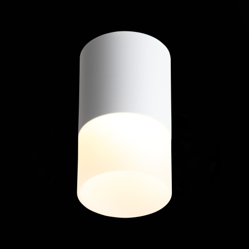 ST100.502.10 Светильник потолочный Белый LED 1*10W 3000K 780Lm Ra&gt;80 120° D78xH135 170-240V Накладные светильники