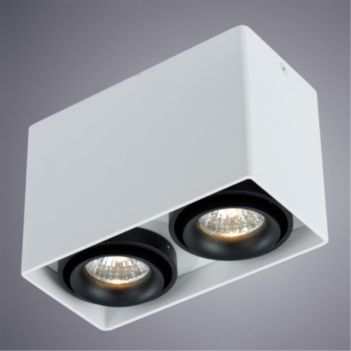 Накладной светильник Arte lamp A5655PL-2WH СВЕТИЛЬНИК ПОТОЛОЧНЫЙ