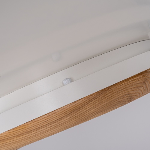 Потолочный Светильник Runis D60 Light Brown от Imperiumloft 219476-26