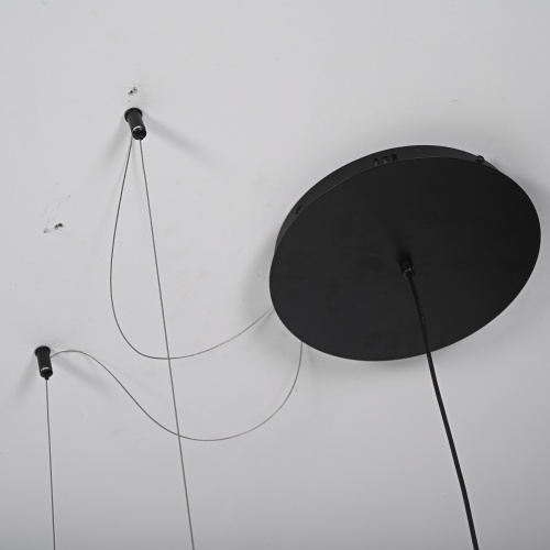 Реечный подвесной светильник PALMA Wall lamp 2 шара + 1 вазон горизонтальная 204172-22