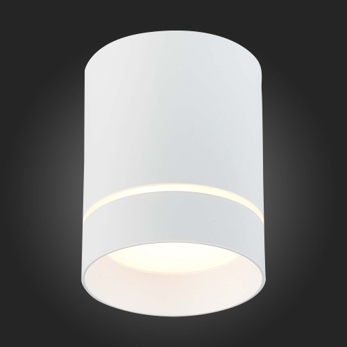 ST115.532.12 Светильник потолочный Белый LED 1*12W 3000K 840Lm Ra&gt;90 120° IP20 D79xH100 170-240V Накладные светильники