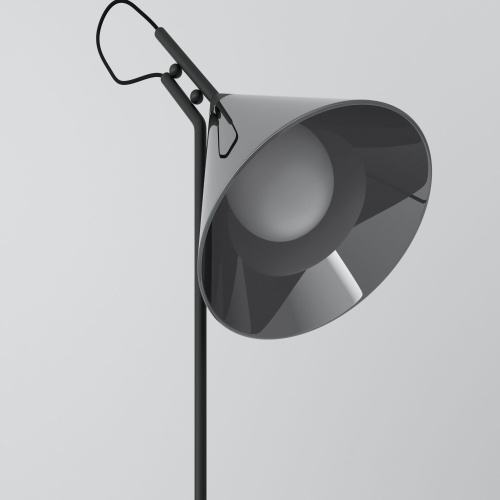 Настольный светильник Eurosvet 01186/1 черный