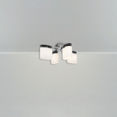 Потолочный светильник Freya FR5101-CL-04-CN