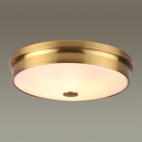 Настенно-потолочный светильник Odeon light Marsei 4824/4C