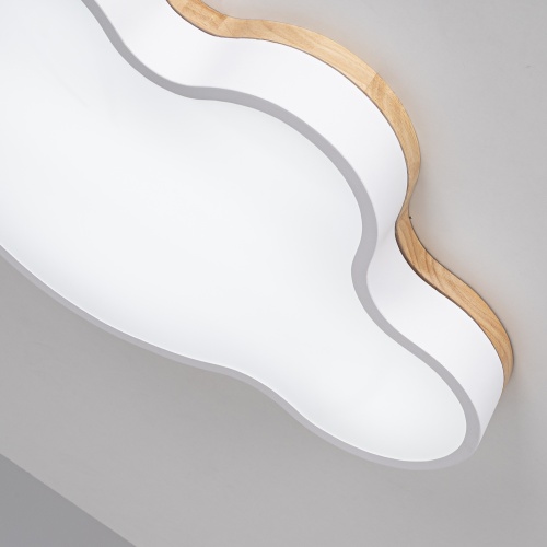 Потолочный светильник CLOUD ECO D63 White 189501-26