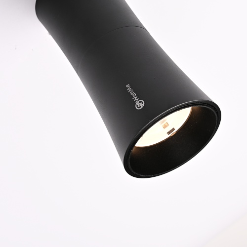 Потолочный Светильник Zyppa Black H15 от Imperiumloft 314097-26