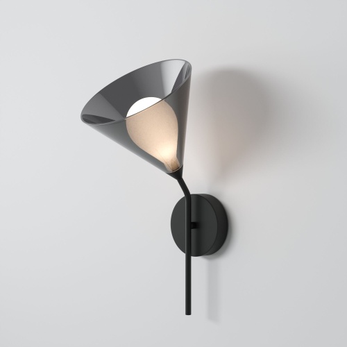 Настенный светильник Eurosvet 70161/1 черный