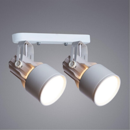 Arte lamp A6252PL-2WH СВЕТИЛЬНИК ПОТОЛОЧНЫЙ
