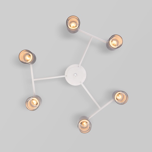 Потолочный светильник Eurosvet 70115/6 белый