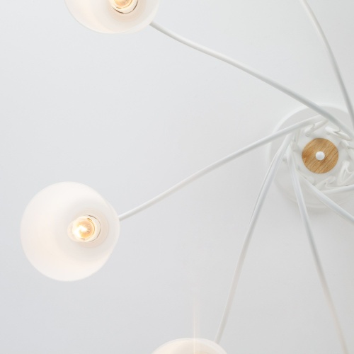 Потолочный светильник Eurosvet 70062/8 белый