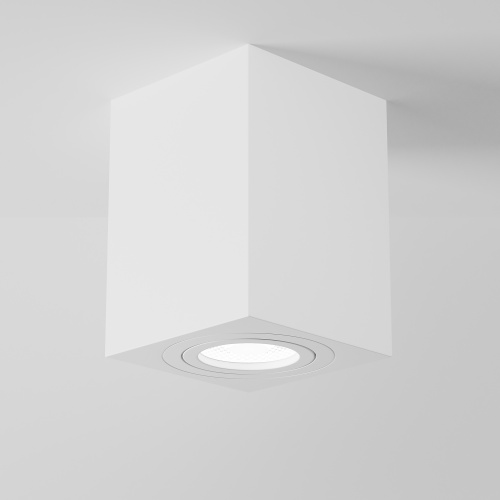 Потолочный светильник Technical C017CL-01W