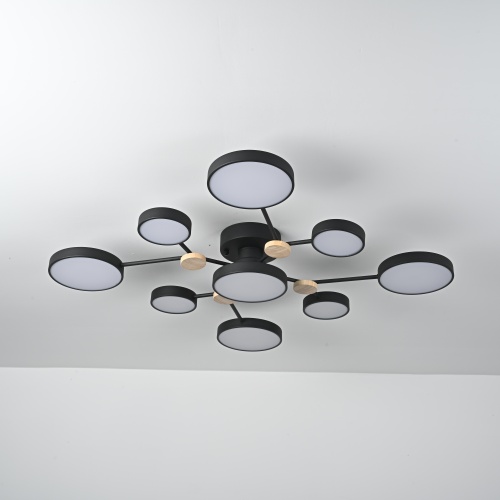 Потолочная Люстра Gamma D98 Black от Imperiumloft 223769-23