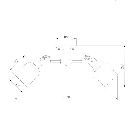 Потолочный светильник Eurosvet 70111/5 черный
