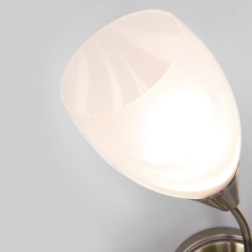 Настенный светильник Eurosvet 30275/1 античная бронза