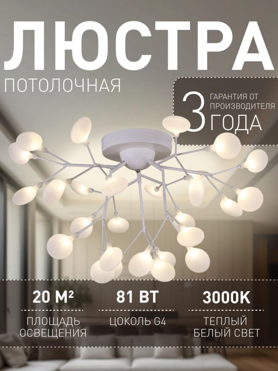 card-img