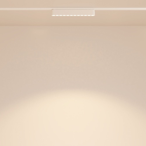 Трековый светильник Technical TR082-1-12W3K-M-W