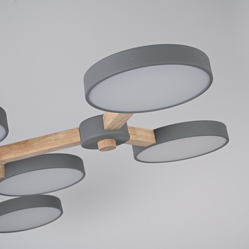 Потолочная люстра TURNA Серый 178305-26