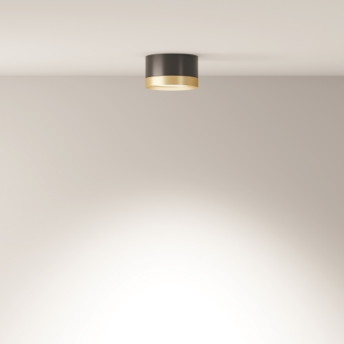 Потолочный светильник Technical C086CL-GX53-SRD-BG