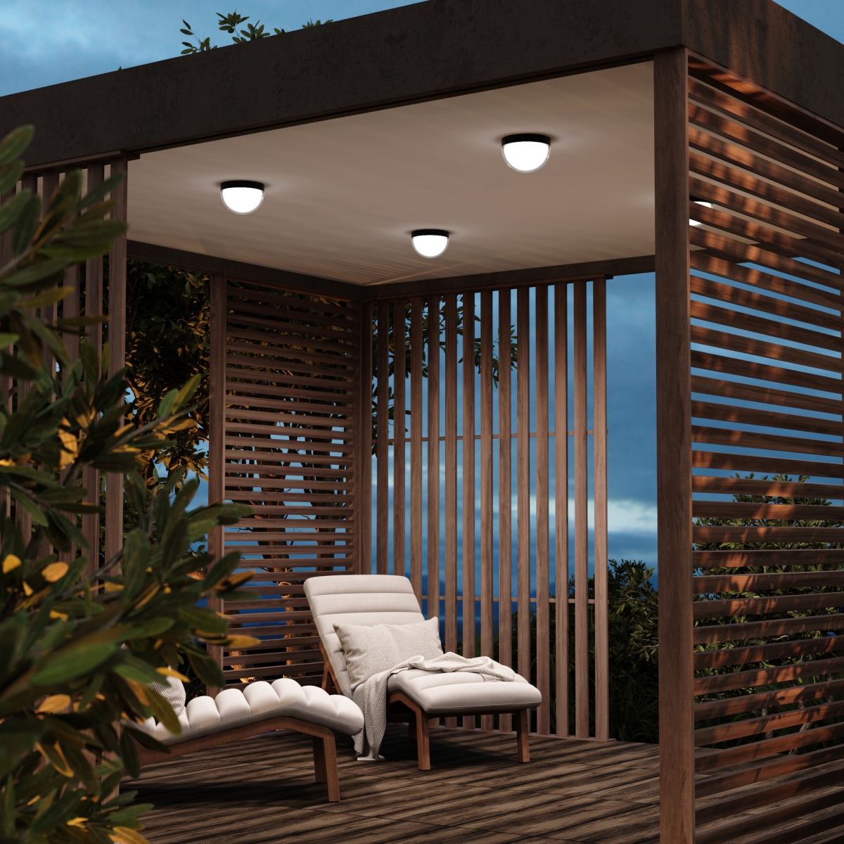 card-img