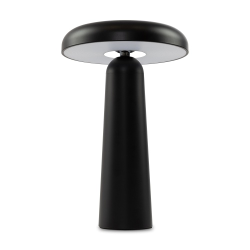Аккумуляторный светильник Freya FR6109TL-L4B