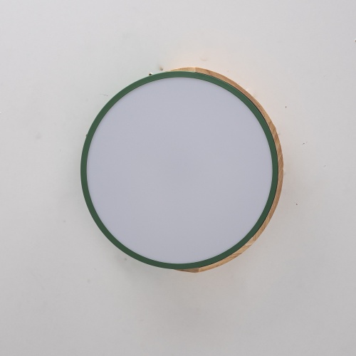 Потолочный светильник CLIP Green D30 193040-26