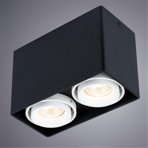 Накладной светильник Arte lamp A5655PL-2BK