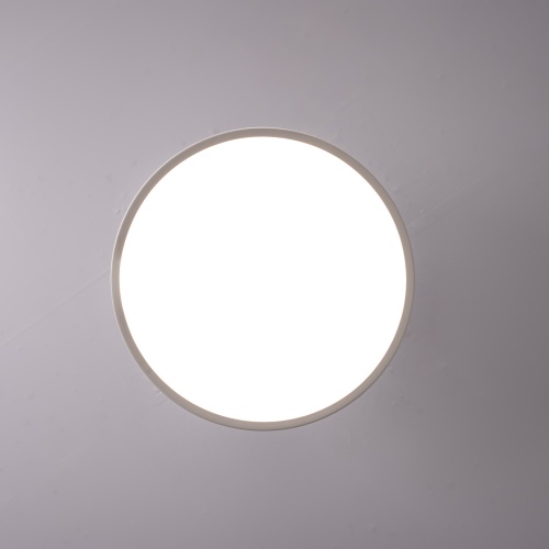 Потолочный светильник BIRK D30 White 377315-23