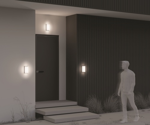 Уличный настенный светильник Outdoor O454WL-L10GF3K