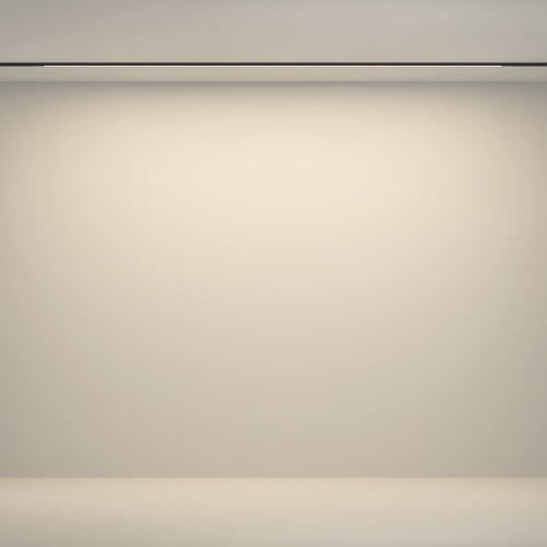 Трековый светильник Technical TR180-1-24WTW-B