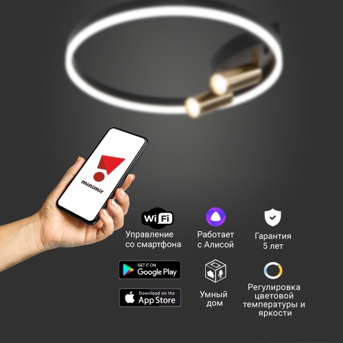 Потолочный светильник Eurosvet 90247/3 черный/золото