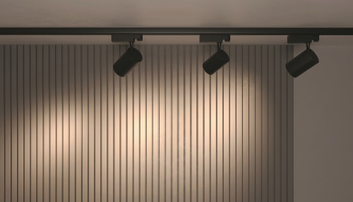 Трековый светильник Technical TR029-3-30W3K-B