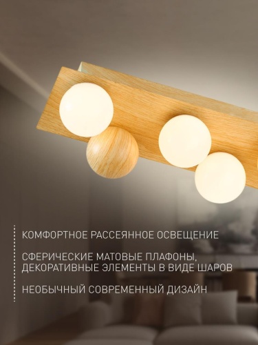 Потолочный светильник 4695-5C