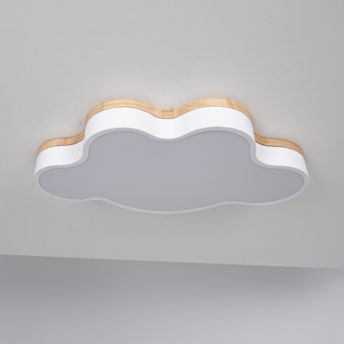 Потолочный светильник CLOUD ECO D63 White 189501-26