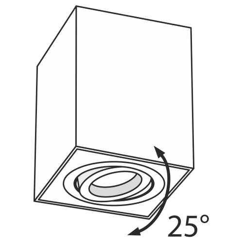 Потолочный светильник Technical C017CL-01S