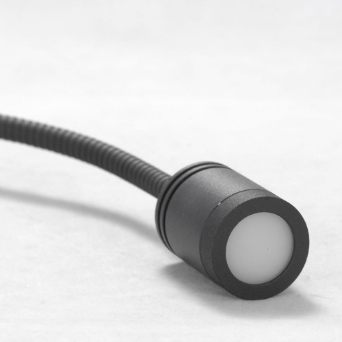 Бра Lussole SY0858