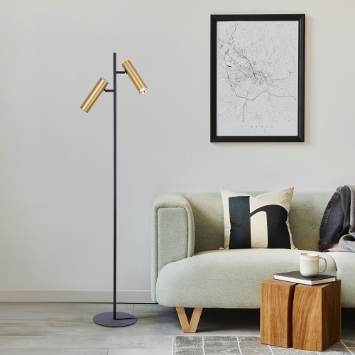 Напольный светильник Eurosvet 01087/2 латунь