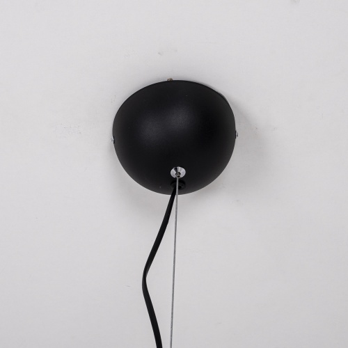 Подвесная люстра SKYM D105 203499-26