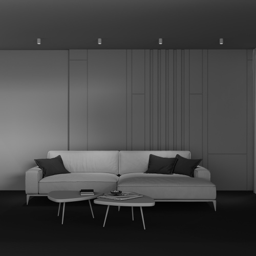 Потолочный светильник Technical C001CL-GU10-W