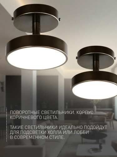 Потолочный светильник 3060-1P